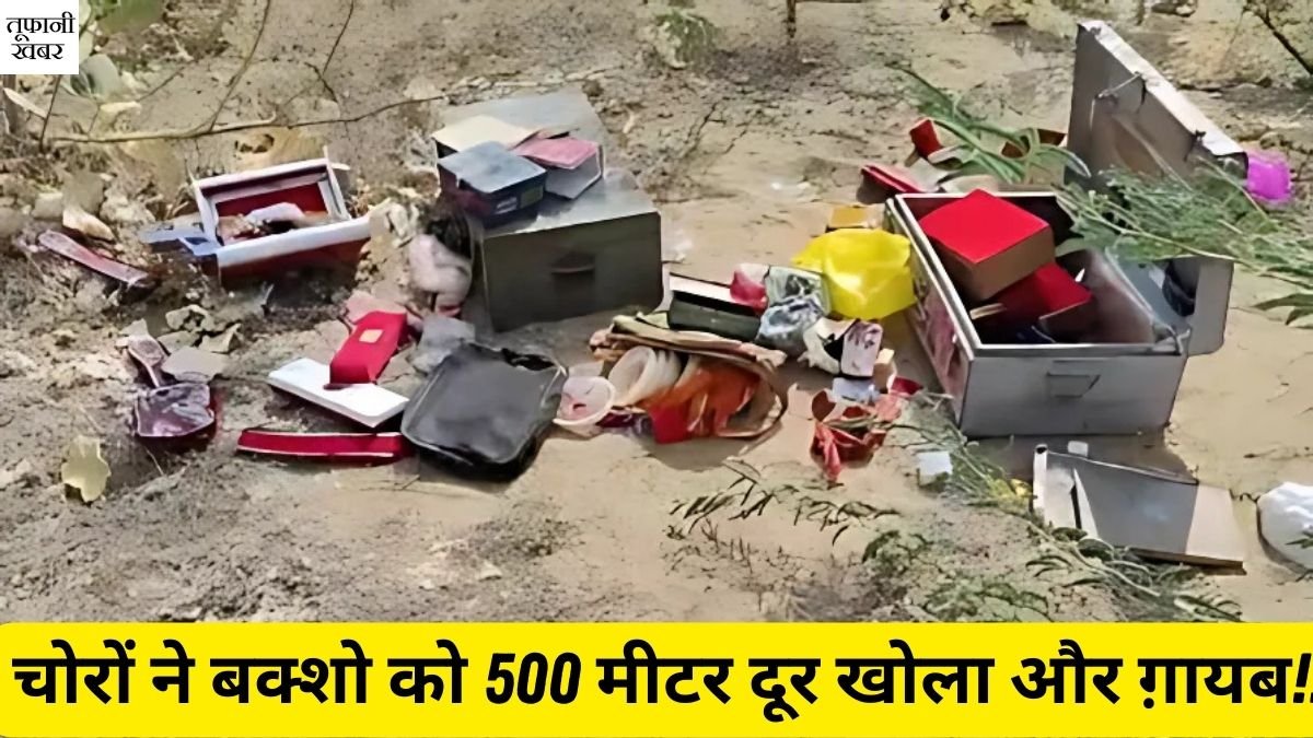 barmer news