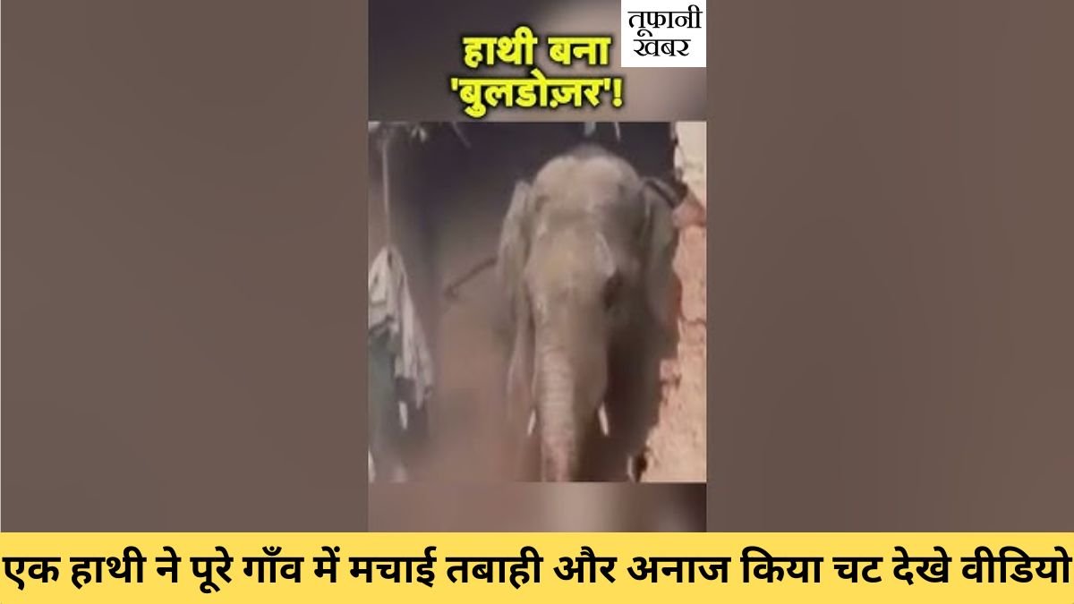 Elephant Attack on village and farmers