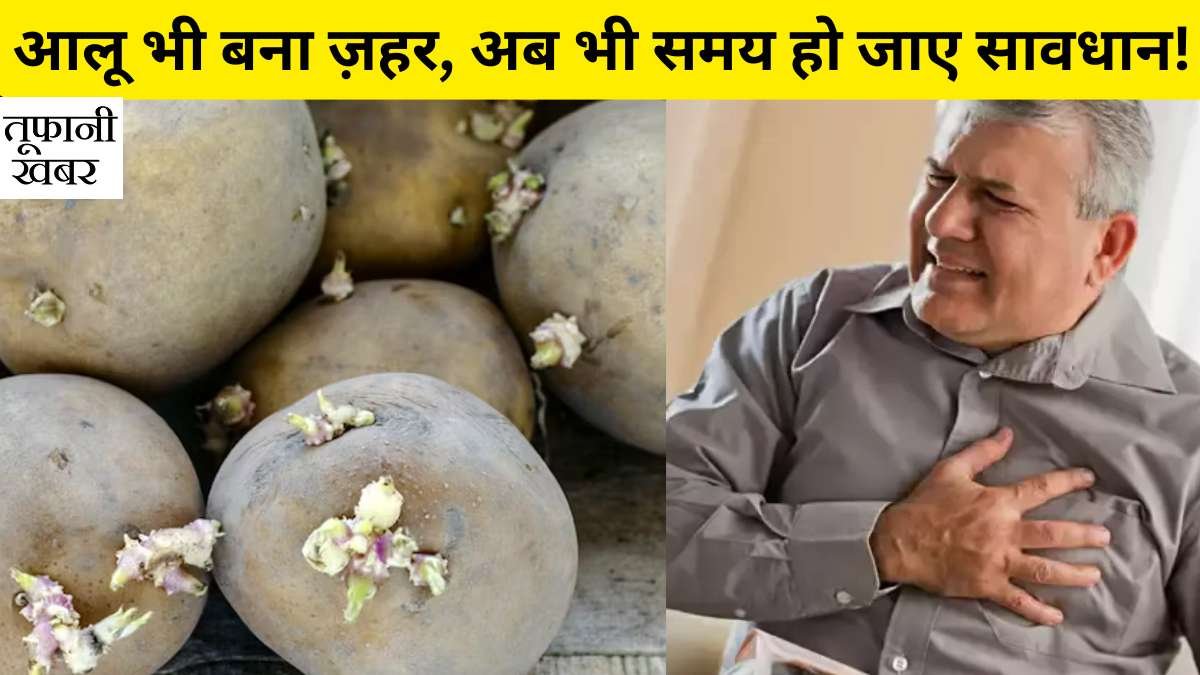Dangerous Potato Dangerous Potato