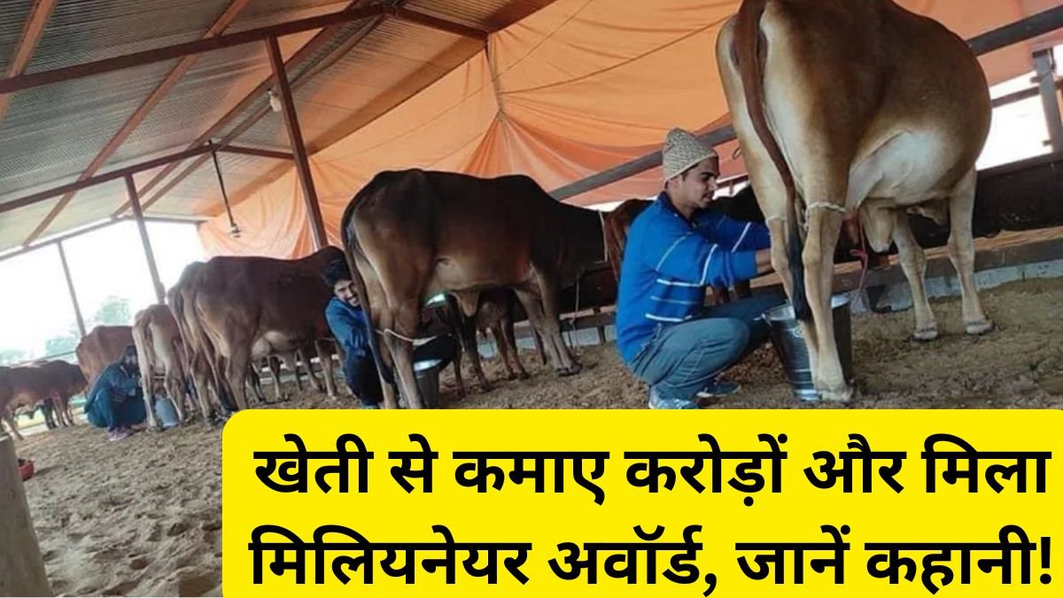 Rajasthan Farmer