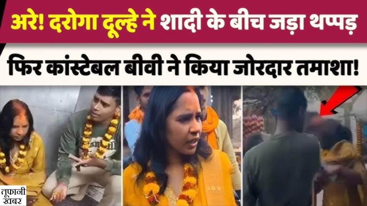 Viral Video News