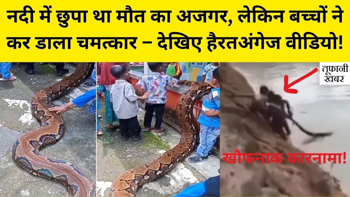 Viral Video
