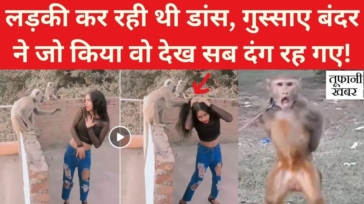 VIRAL VIDEO
