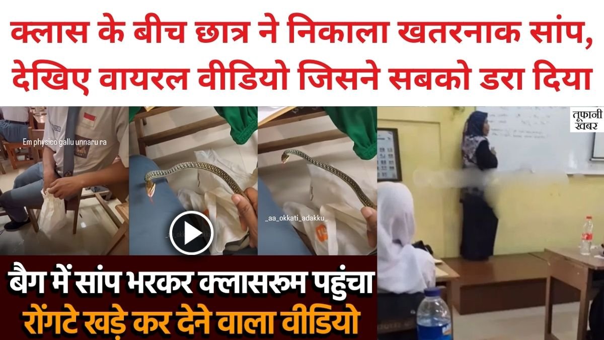 Viral Video