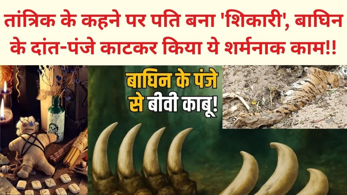 Seoni Bagh Story